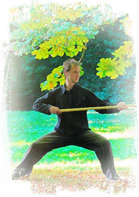 Grafik:Taijiquan Figur aus der Speerform